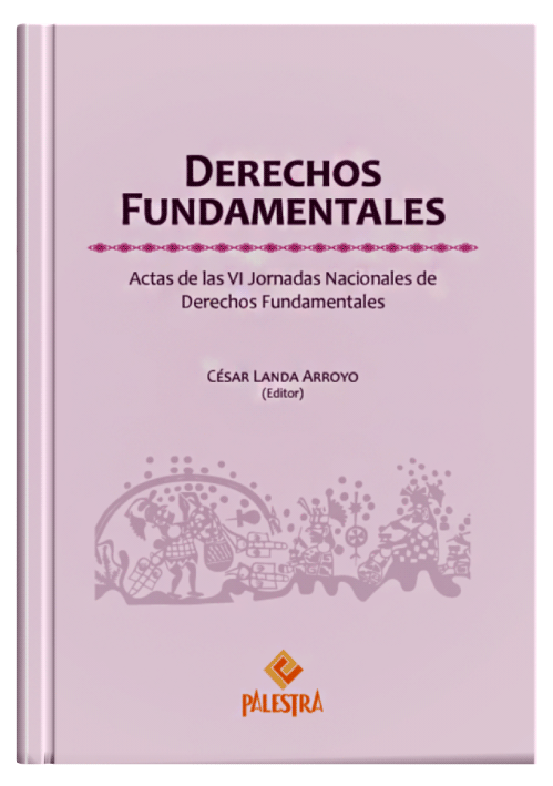 DERECHOS FUNDAMENTALES - Actas de las VI..