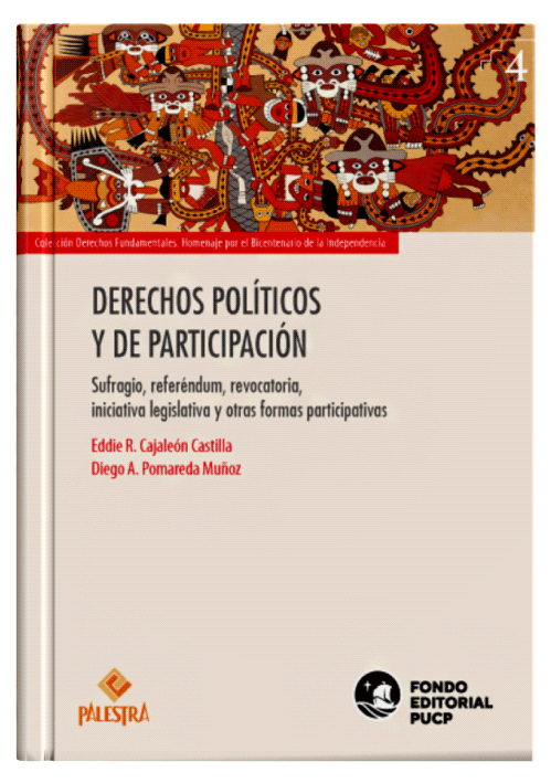 DERECHOS POLÍTICOS Y DE PARTICIPACIÓN DERECHOS POLÍTICOS Y DE PARTICIPACIÓN