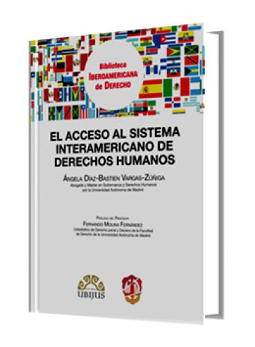 EL ACCESO AL SISTEMA INTERAMERICANO DE DERECHOS HUMANOS EL ACCESO AL SISTEMA INTERAMERICANO DE DERECHOS HUMANOS