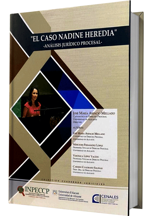 EL CASO NADINE HEREDIA - Analisis Juridico Procesal