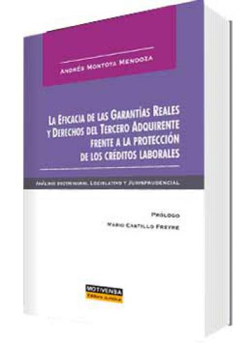 LA EFICACIA DE LAS GARANTIAS REALES Y DE..