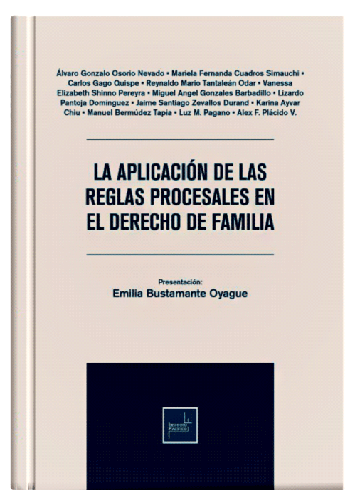 LA APLICACIÓN DE LAS REGLAS PROCESALES EN EL DERECHO DE FAMILIA LA APLICACIÓN DE LAS REGLAS PROCESALES EN EL DERECHO DE FAMILIA
