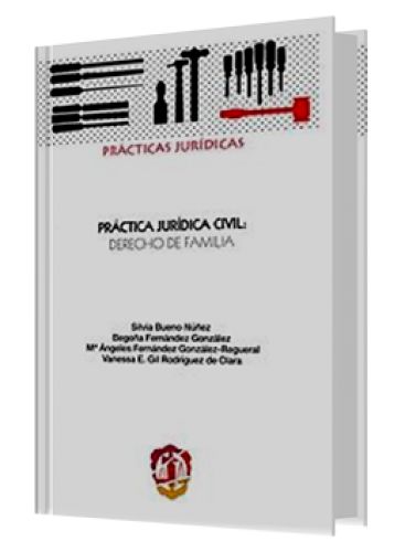 PRÁCTICA JURÍDICA CIVIL: DERECHO DE FAMILIA PRÁCTICA JURÍDICA CIVIL: DERECHO DE FAMILIA