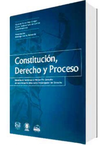CONSTITUCIÓN, DERECHO Y PROCESO CONSTITUCIÓN, DERECHO Y PROCESO