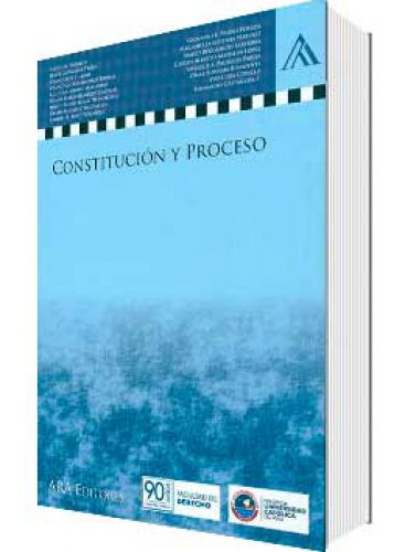 CONSTITUCIÓN Y PROCESO