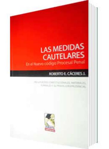 LAS MEDIDAS CAUTELARES LAS MEDIDAS CAUTELARES