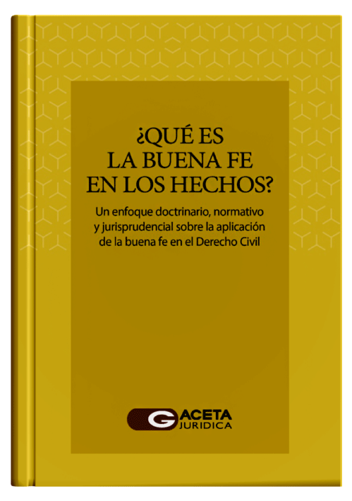 ¿QUÉ ES LA BUENA FE EN LOS HECHOS? ¿QUÉ ES LA BUENA FE EN LOS HECHOS?