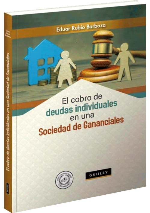 EL COBRO DE DEUDAS INDIVIDUALES EN UNA SOCIEDAD DE GANANCIALES EL COBRO DE DEUDAS INDIVIDUALES EN UNA SOCIEDAD DE GANANCIALES