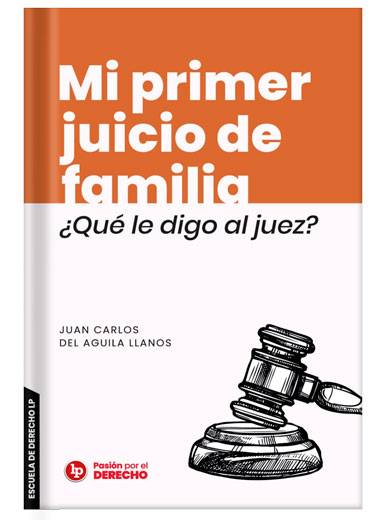 MI PRIMER JUICIO DE FAMILIA. ¿QUÉ LE DIGO AL JUEZ?