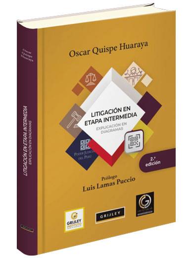 LITIGACIÓN EN ETAPA INTERMEDIA. Explicación en diagramas LITIGACIÓN EN ETAPA INTERMEDIA. Explicación en diagramas