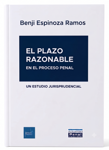 El Plazo Razonable en el Proceso Penal. Un Estudio Jurisprudencial