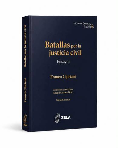 BATALLAS POR LA JUSTICIA CIVIL. Ensayos