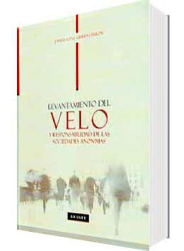 LEVANTAMIENTO DEL VELO Y REPONSABILIDAD ..