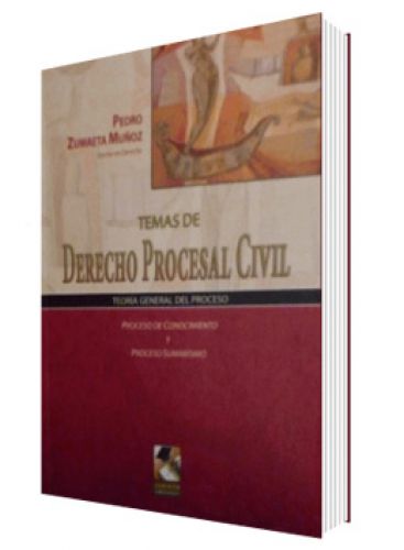 TEMAS DE DERECHO PROCESAL CIVIL