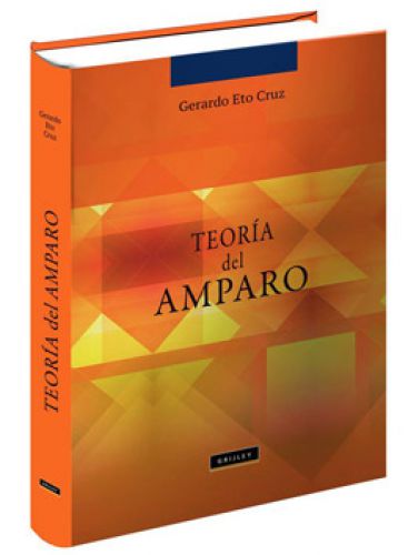  TEORÍA DEL AMPARO..