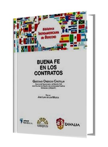 BUENA FE EN LOS CONTRATOS..