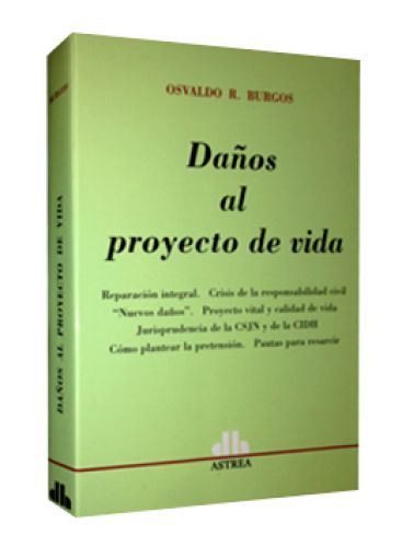 DAÑOS AL PROYECTO DE VIDA..