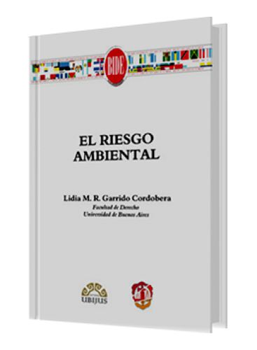 EL RIESGO AMBIENTAL..