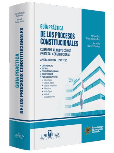 GUÍA PRÁCTICA DE LOS PROCESOS CONSTITU..