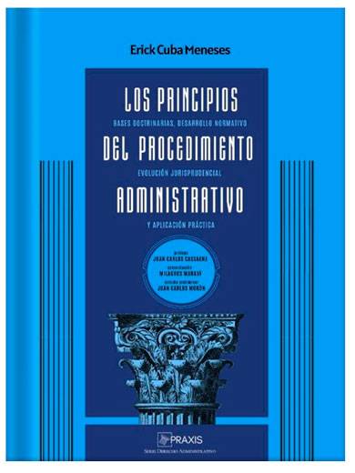 LOS PRINCIPIOS DEL PROCEDIMIENTO ADMINIS..