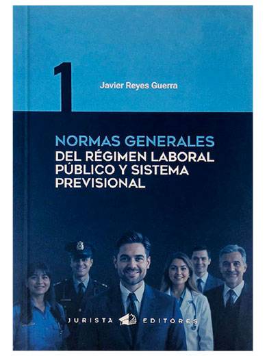 NORMAS GENERALES DEL REGIMEN LABORAL PUB..
