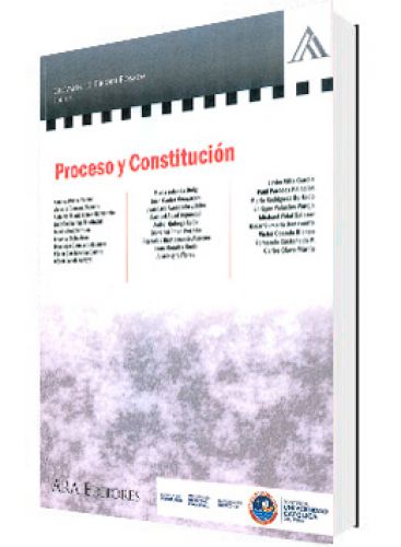 PROCESO Y CONSTITUCIÓN..